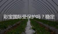 彩宝国际受保护吗？稳定有利益保障吗？