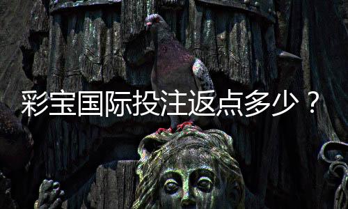 彩宝国际投注返点多少?高额返点等你来赚取