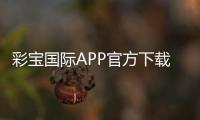 彩宝国际APP官方下载通道