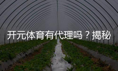 开元体育有代理吗?揭秘代理加盟条件与流程