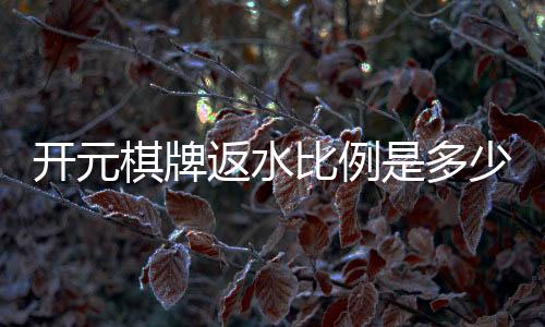 开元棋牌返水比例是多少？揭秘高返水活动与实战技巧