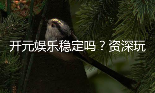 开元娱乐稳定吗?资深玩家实测解析平台稳定性与体验