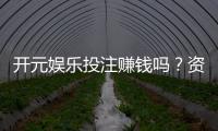 开元娱乐投注赚钱吗？资深玩家揭秘真实盈利技巧与风险