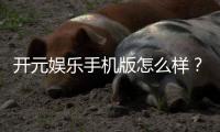 开元娱乐手机版怎么样？资深玩家带你全面评测体验