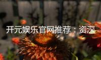 开元娱乐官网推荐：资深玩家揭秘最佳游戏体验与优惠攻略