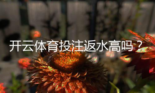 开云体育投注返水高吗？最新返水比例、计算方法与领取攻略