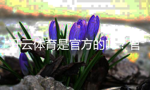 开云体育是官方的吗？官方资质、真假辨别与安全性全解析