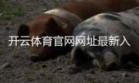 开云体育官网网址最新入口与安全登录指南新手必看