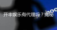 开丰娱乐有代理吗？揭秘代理加盟条件与流程