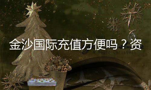 金沙国际充值方便吗?资深玩家分享快速到账技巧与心得