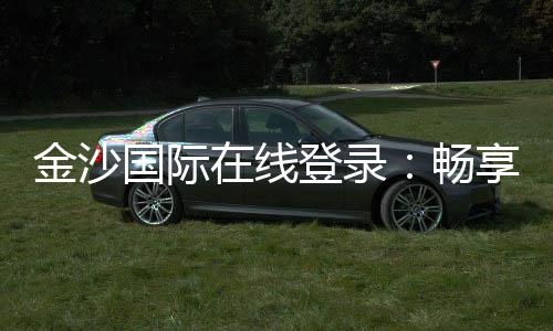 金沙国际在线登录:畅享顶级棋牌电游的豪华体验