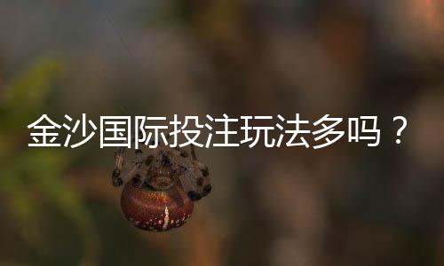 金沙国际投注玩法多吗？深度解析平台特色与游戏选择