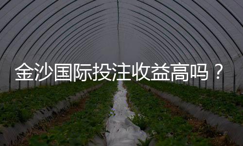 金沙国际投注收益高吗?资深玩家解析真实盈利策略
