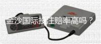 金沙国际投注赔率高吗？资深玩家揭秘真实回报率与技巧