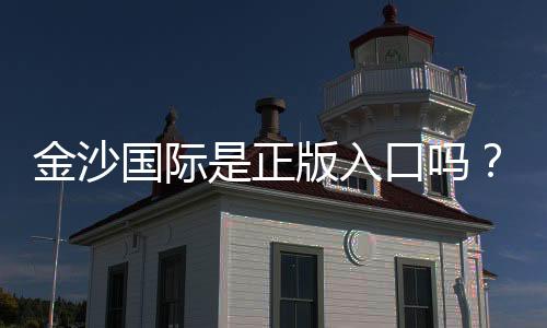 金沙国际是正版入口吗？揭秘平台资质与安全玩法指南