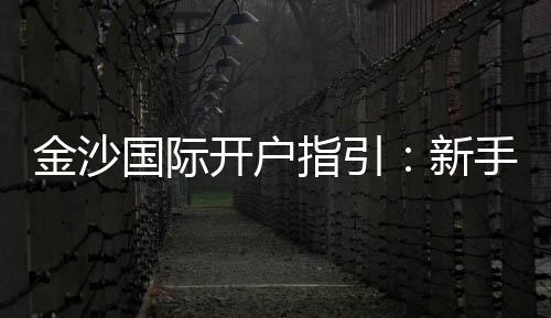 金沙国际开户指引:新手必看的详细注册流程与技巧