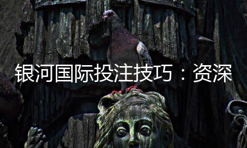 银河国际投注技巧：资深玩家分享实战盈利策略