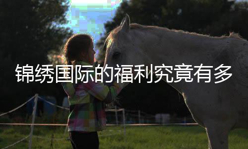 锦绣国际的福利究竟有多丰厚?