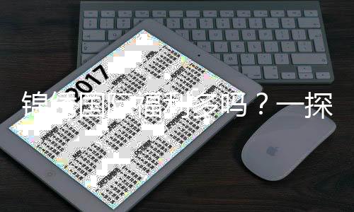 锦绣国际福利多吗？一探究竟