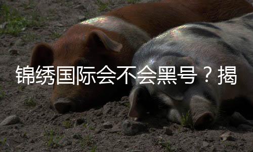 锦绣国际会不会黑号？揭开背后的真相