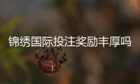 锦绣国际投注奖励丰厚吗？探索网博彩新世界