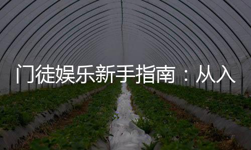 门徒娱乐新手指南：从入门到精通的实战技巧