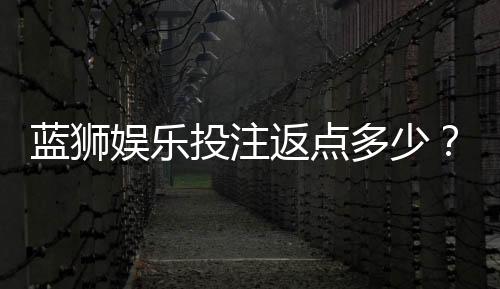 蓝狮娱乐投注返点多少?揭秘高返水比例与实战技巧