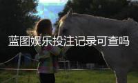蓝图娱乐投注记录可查吗？一文详解查询方法与注意事项