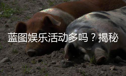 蓝图娱乐活动多吗?揭秘平台丰富玩法与特色活动