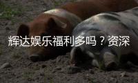 辉达娱乐福利多吗？资深玩家揭秘真实福利体验