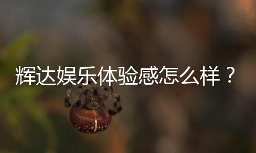 辉达娱乐体验感怎么样？资深玩家分享真实评测与心得