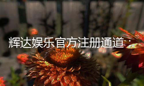辉达娱乐官方注册通道：轻松开户畅享顶级棋牌游戏体验