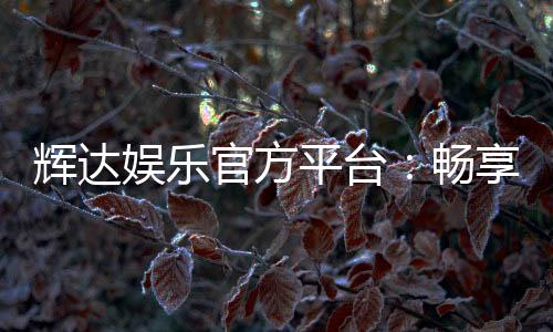 辉达娱乐官方平台:畅享高品质电子游艺与棋牌乐趣