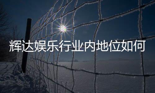 辉达娱乐行业内地位如何？深度解析其市场影响力与玩家口碑