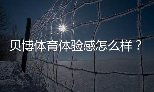 贝博体育体验感怎么样?真实用户评测:界面、下注、客服与出款全方位解析