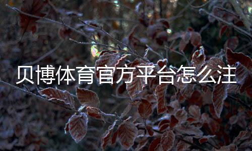 贝博体育官方平台怎么注册?新手入门、优惠活动与安全充值提现全攻略