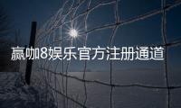赢咖8娱乐官方注册通道：轻松开启你的高端游戏体验之旅