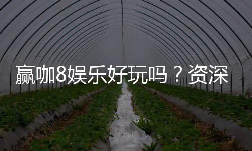 赢咖8娱乐好玩吗?资深玩家带你揭秘真实体验与赢钱技巧