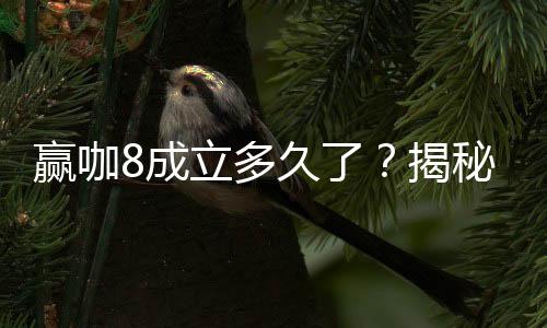 赢咖8成立多久了?揭秘其发展历程与品牌实力