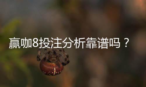 赢咖8投注分析靠谱吗？资深玩家深度解析平台可靠性