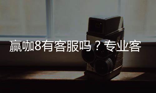 赢咖8有客服吗?专业客服团队24小时在线解答疑问
