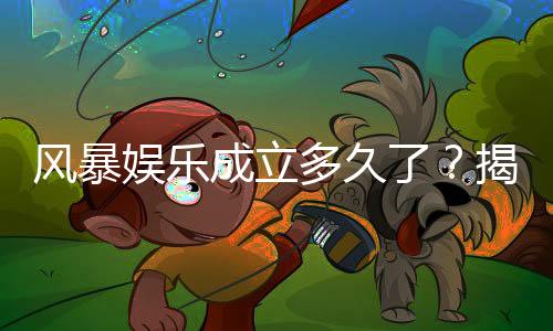 风暴娱乐成立多久了？揭秘平台发展历程与玩家真实体验