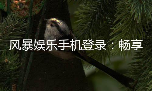 风暴娱乐手机登录：畅享移动端棋牌游戏的极致体验