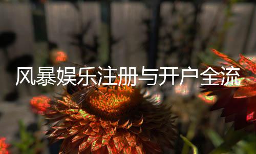 风暴娱乐注册与开户全流程:手把手教你轻松完成账号申请