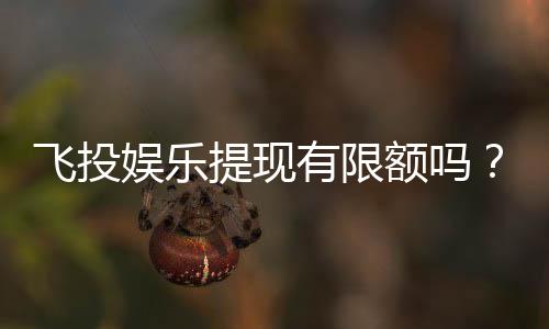 飞投娱乐提现有限额吗?平台提现规则与限额详解