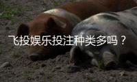 飞投娱乐投注种类多吗？全面解析平台热门游戏与特色玩法