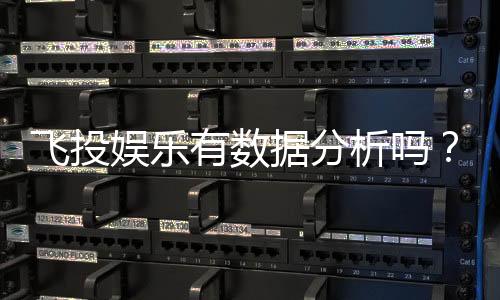 飞投娱乐有数据分析吗?深度解析其数据功能与玩家体验