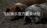 飞投娱乐官方登录地址：安全便捷的一站式游戏入口指南
