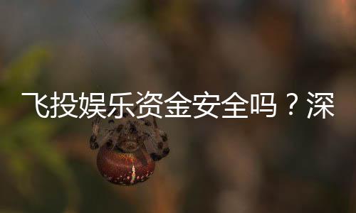 飞投娱乐资金安全吗?深度解析平台保障措施与玩家实测反馈