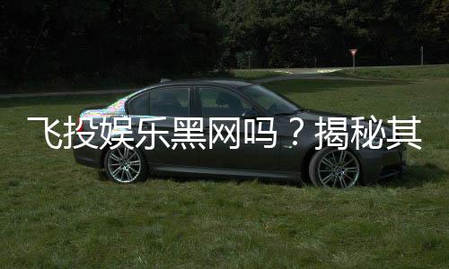 飞投娱乐黑网吗？揭秘其安全性及玩家真实体验
